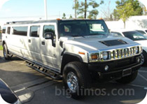 gray-hummer